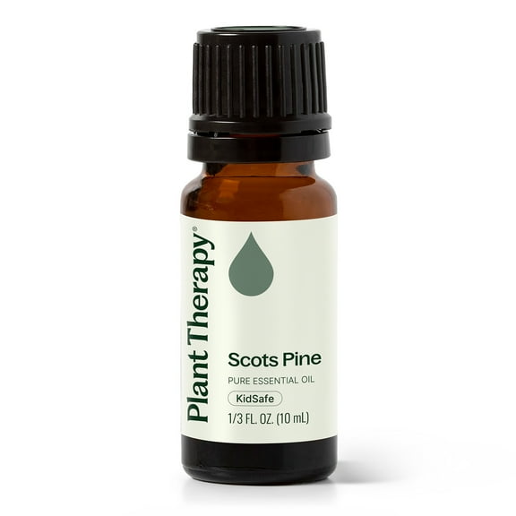 Plant Therapy Scots Pine Essential Oil 10 mL (1/3 oz) 100% Pure, Undiluted, Natural Aromatherapy