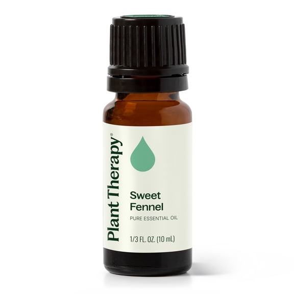 Plant Therapy Sweet Fennel Essential Oil 10 mL (1/3 oz) 100% Pure, Undiluted, Natural Aromatherapy