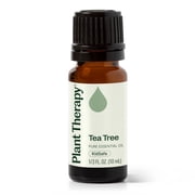 Plant Therapy Tea Tree Essential Oil 100% Pure, Undiluted, Natural Aromatherapy 10 mL 1/3 oz