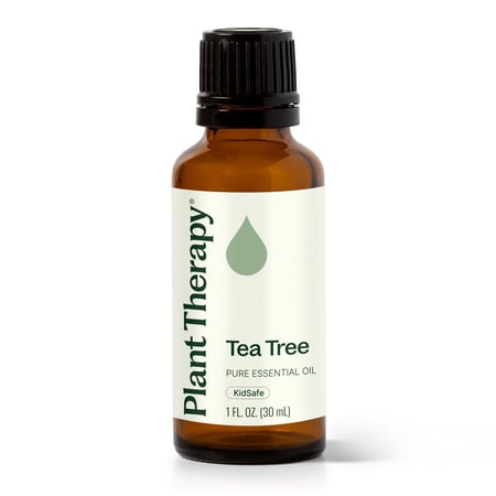 Plant Therapy Tea Tree Essential Oil 100% Pure, Undiluted, Natural Aromatherapy 30 mL (1 oz)