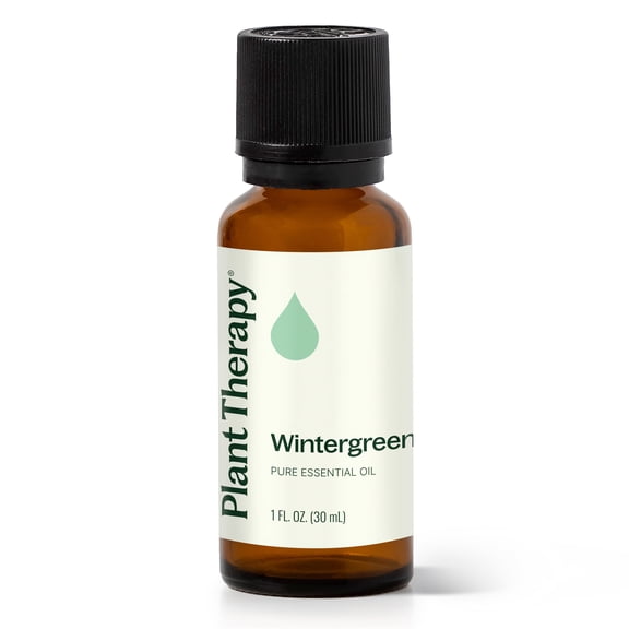 Plant Therapy Wintergreen Essential Oil 30 mL (1 oz) 100% Pure, Undiluted, Natural Aromatherapy