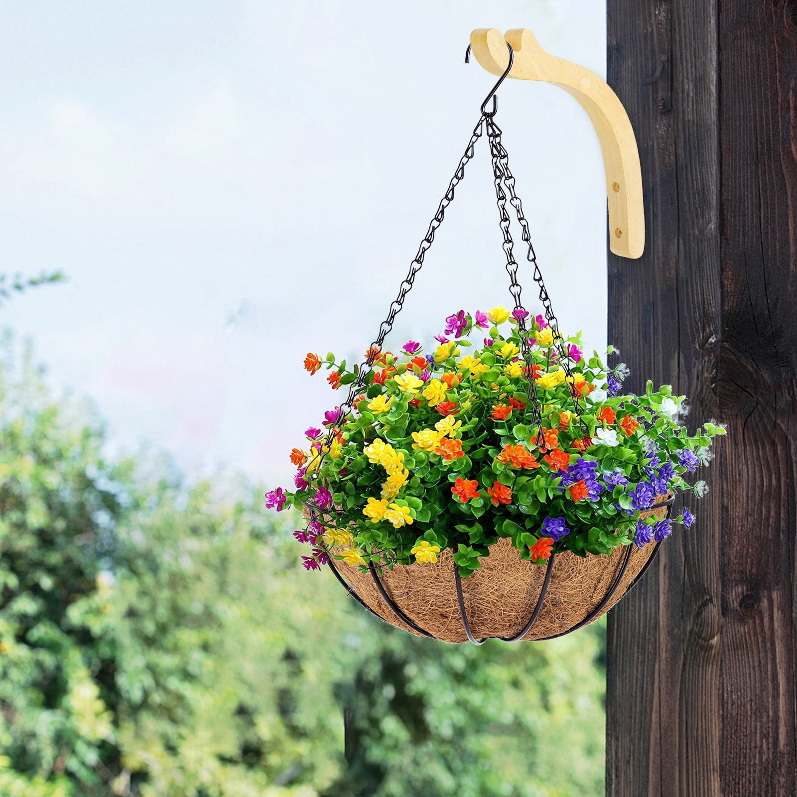 Plant Wall Hanger, Wall Planters for Indoor Plants, Hanging Plant ...