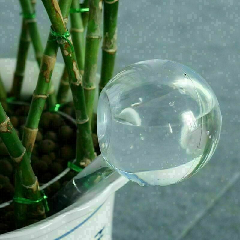 Plant Water Feeder Automatic Plastical Balls Garden Water Device Plants