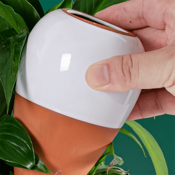 Plant Watering Ball, Terracotta Watering Spike