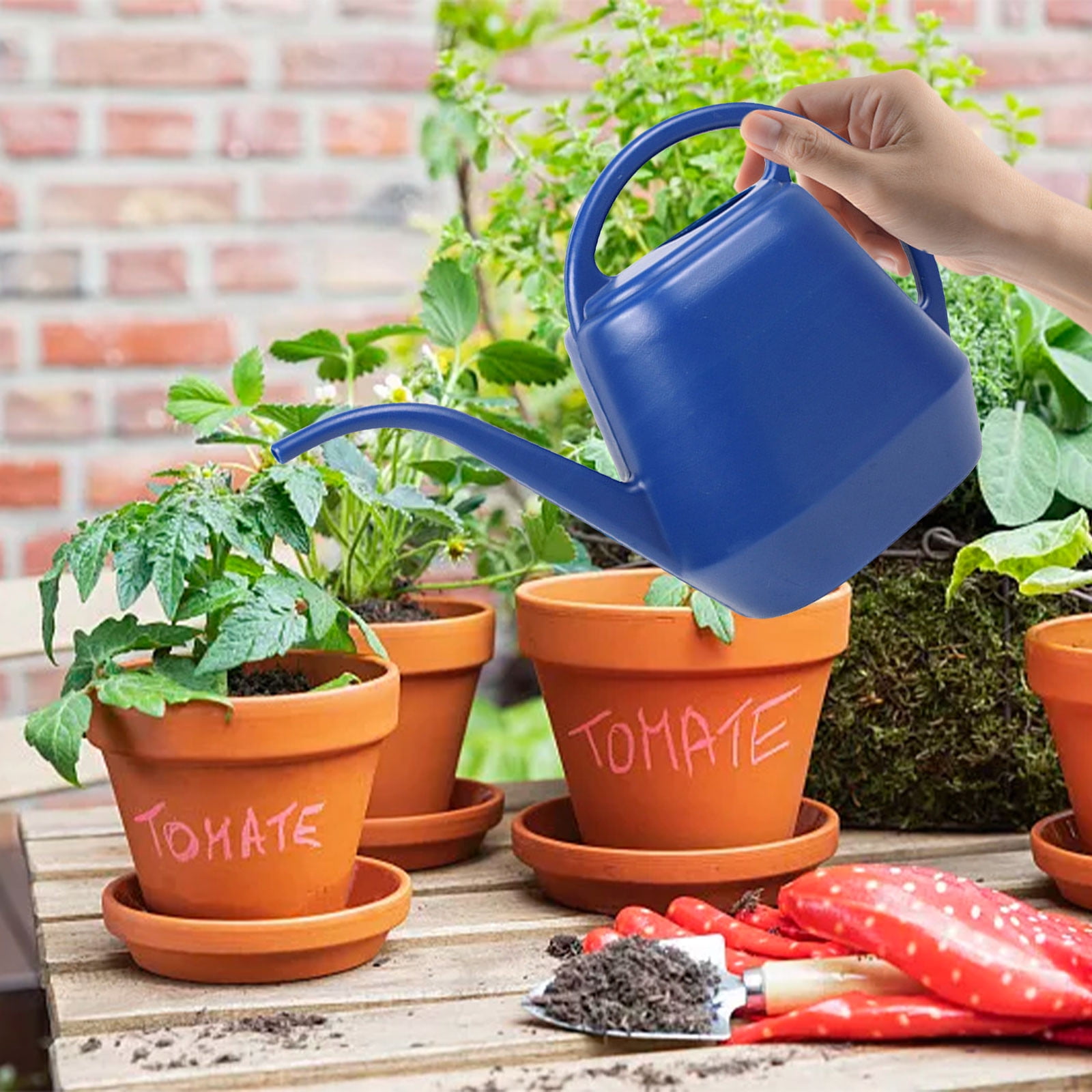 Plant Watering Can Watering Can 1 Gallon Long Spout Watering Can Flower ...