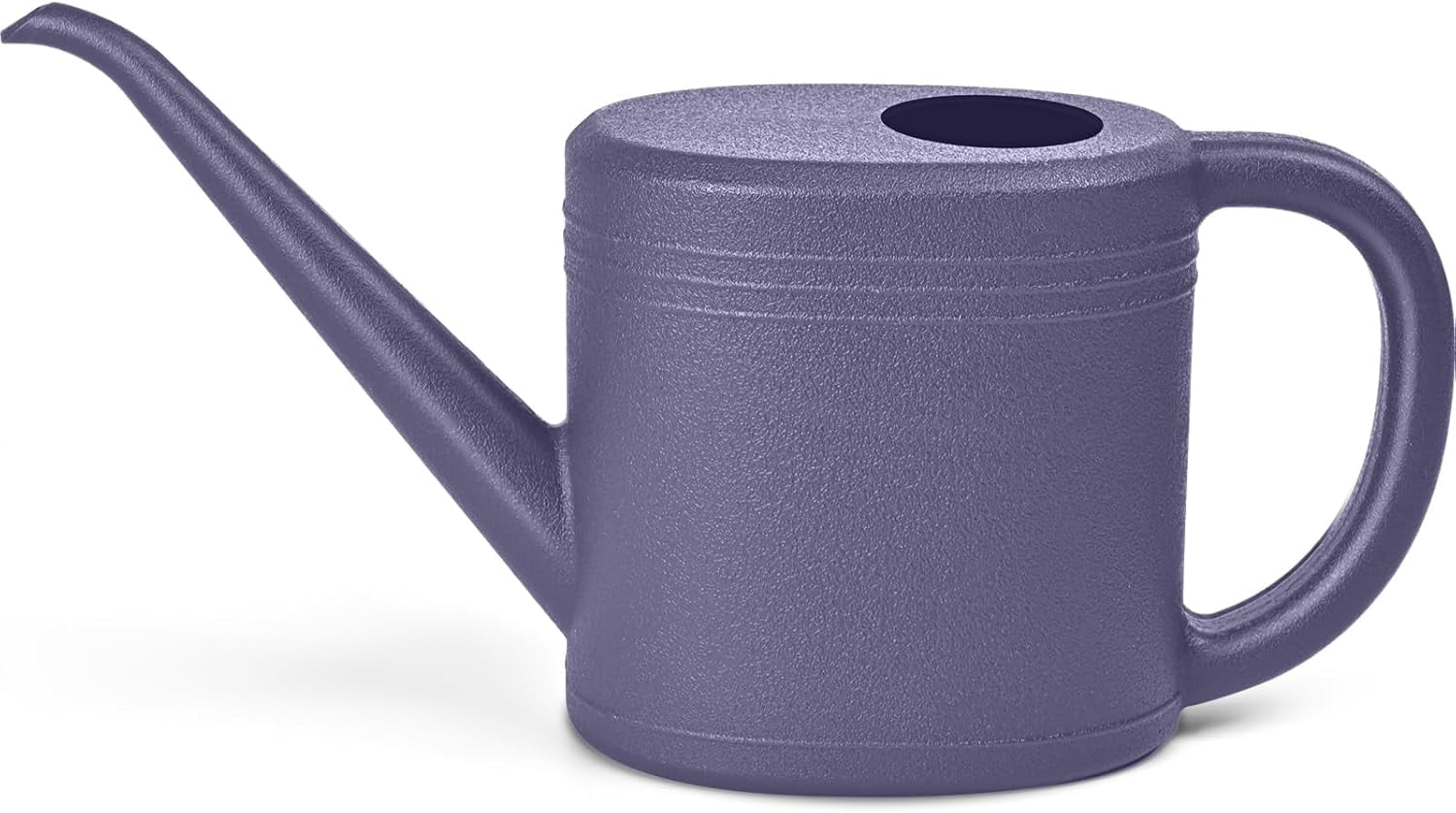 Plant Watering Can for Home Garden - with Long Spout 1/4 Gallon Purple