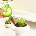 thumbnail image 1 of Plant Watering Globes under $5! kkbbma Self Watering Spikes, Indoor Plant Watering Insert, Bird Shape Automatic Irrigation Spikes,Plant Watering Devices, 1 of 6