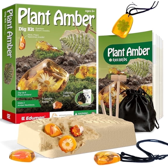 Piano Potato Plant Amber Dig Kit for Kids - 6 Real Botanical Specimens + 1 Genuine Natural Amber, DIY Jewelry Making STEM Science Toy, Excavation Activity for Boys & Girls Ages 6-12