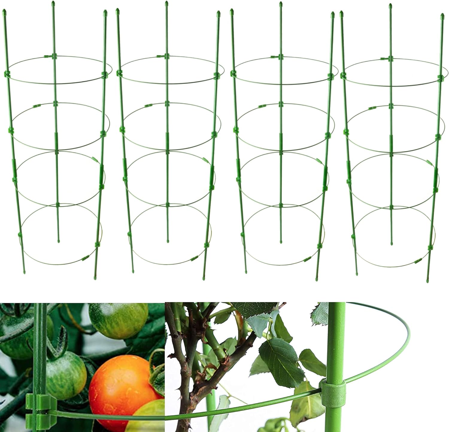 Plant green plant cutting and cultivation rack