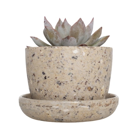 Plant with Purpose 3 in. Upcycled Planter with 2 in. Echeveria Live Houseplant with Indirect Sun