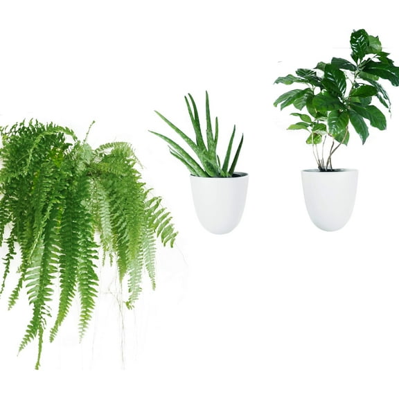 PlantPod Luxe Self-Watering Wall Planters (Set of 3) - Easy to Water and Install - Lightweight - Design Your Own Vertical Garden - Wall Planters for Indoor Plants