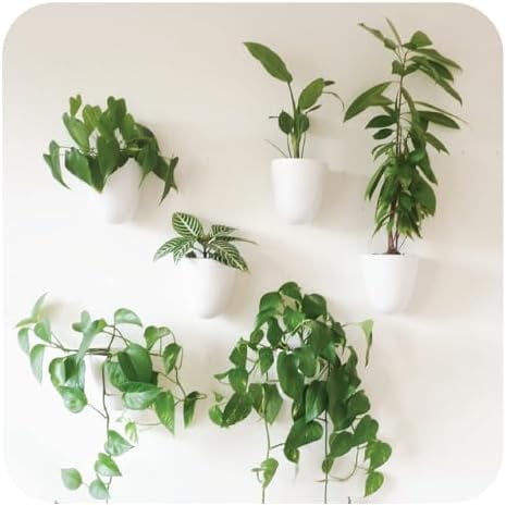 PlantPod Luxe - Self-Watering Wall Planters (Set of 6) - Easy to Water and Install - Lightweight - Design Your Own Vertical Garden - Wall Planters for Indoor Plants