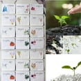 Plantable Seed Calendar 2025, From January 12PC 2025 to December 2025