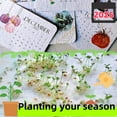 Plantable Seed Calendar 2025, From January 2025 To December 2025