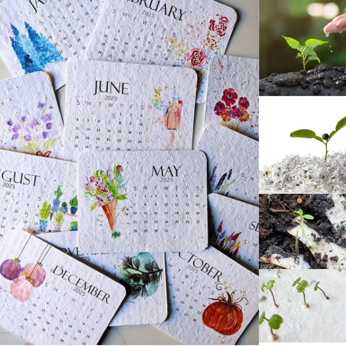 Plantable Seed Calendar 2025, Funny Plantable Seed Advent Calendar