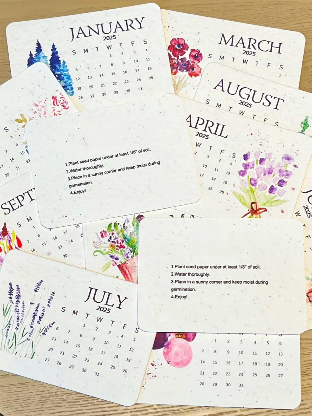 Plantable Seed Calendar 2025, Seed Calendar from January 2025 to