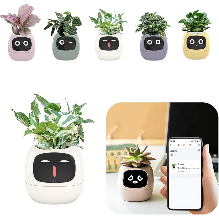 Plantagotchi Planter, AI Smart Plant Pot, Ai Planter Pot, Ivy