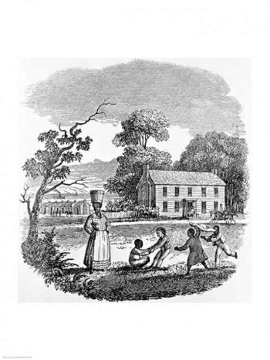 Plantation Scene Canvas Art -  (24 x 36)