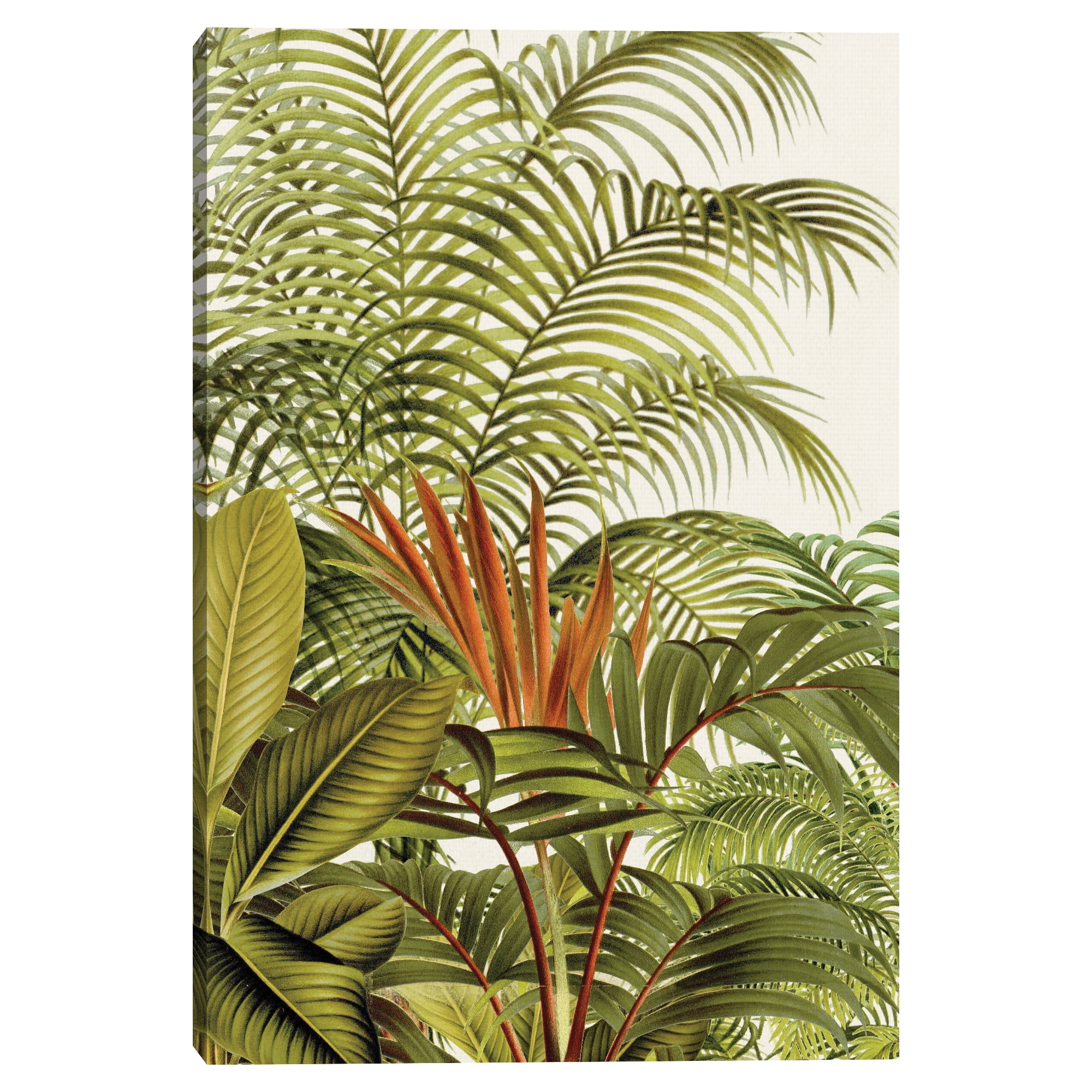 Plantation by Belle Maison Canvas Art Print