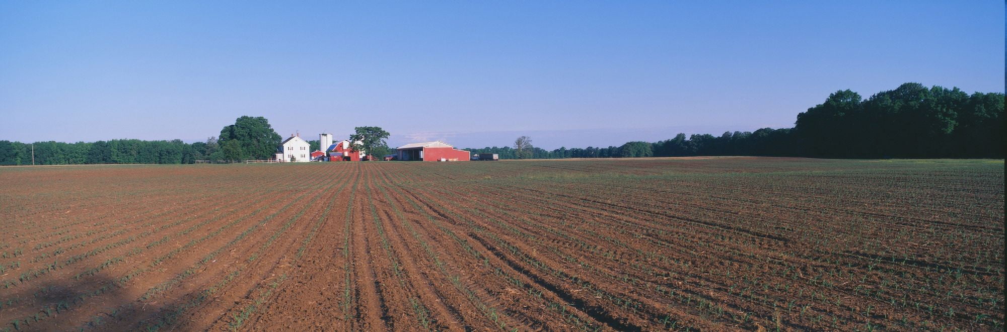 Planted Spring Field and Farm Maryland Canvas Art - Panoramic Images (27 x 9)