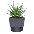 Planter 5 inch Sprite Round Plastic Plant Pot for Indoor Outdoor