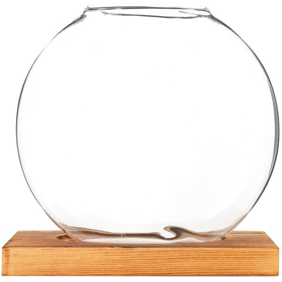 ifundom Hydroponic Glass Vase Transparent Wooden Base for Home Decor and Plant Propagation