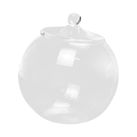 Planter Jar Micro Landscape Bottle, Sealed Storage Jar, 6.30'' Glass Terrarium, Glass Plant Container for Candy Bedroom, Pepper Sugar Kitchen