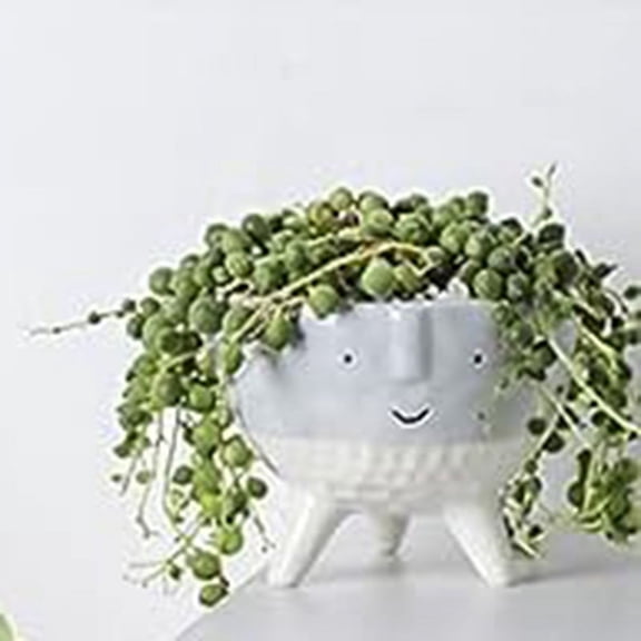 Planter Pot Pack of 2, Face Perfect for Indoor Outdoor Plants, Pots for String