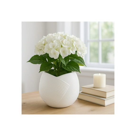 Planters and Flower Pots Home Decor - Plant Pots for Indoor and Outdoor Use - Modern Pots for Plant Stands Perfect for Patio and Garden Decor - Elevated Style for Your Favorite Plants - 7" White