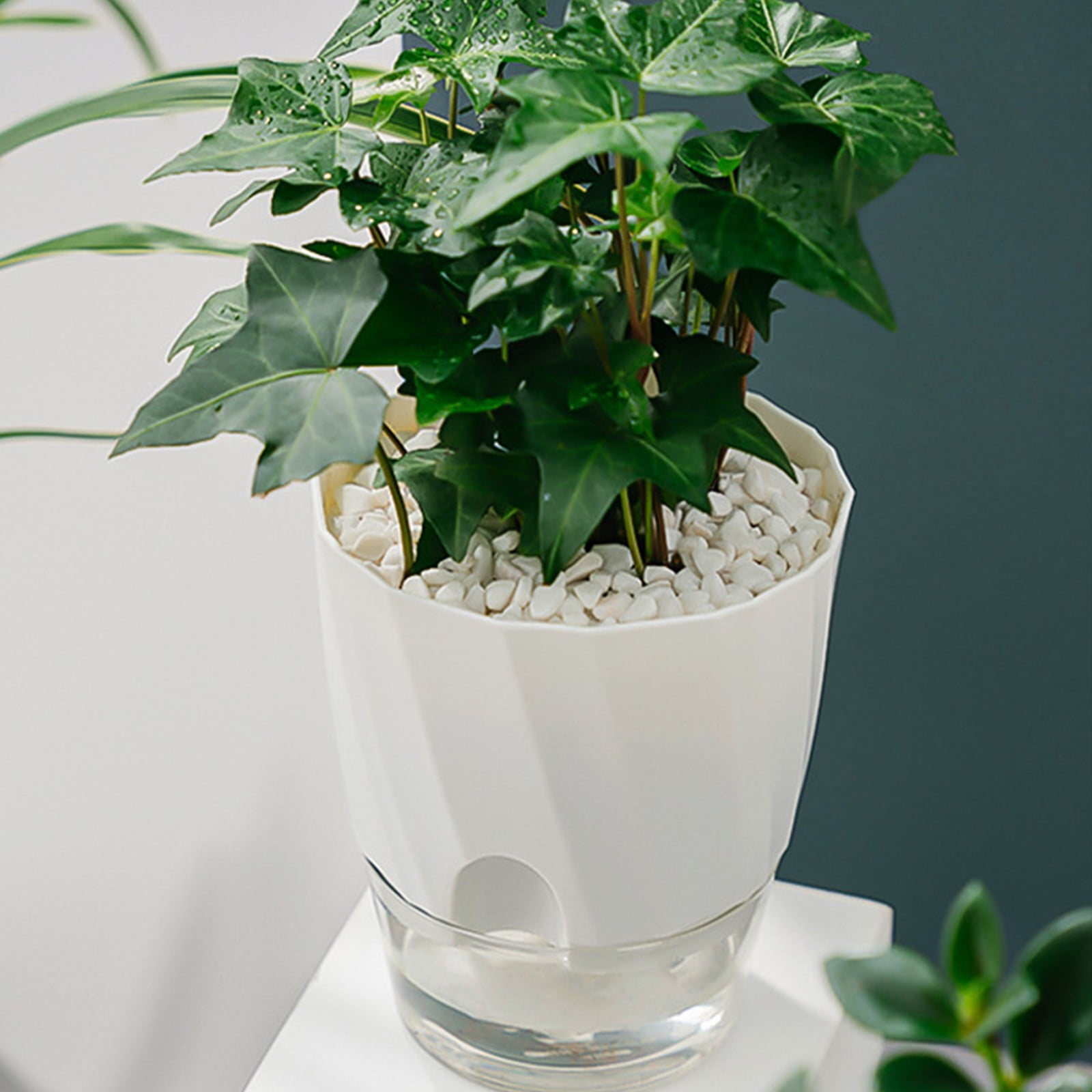 Flower Pot Tray——sueyeuwdi 1X Flower Pot Self Watering Planter African