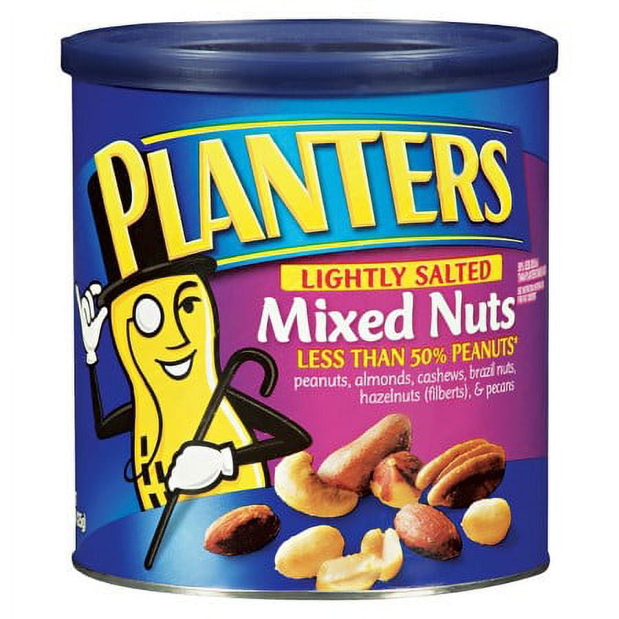 Planters Lightly Salted Mixed Nuts 15 oz