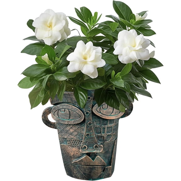 Planters Pots, Planter for Indoor , Funny Flower Pot, Cute Art Flower Vase with Facial Expressions, Planter Pot for Decor(,M)