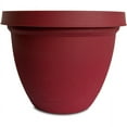 thumbnail image 1 of Planters Pride Ifa14000f85 14" Red Infin, 1 of 1