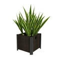 thumbnail image 1 of Planters, 1 of 1