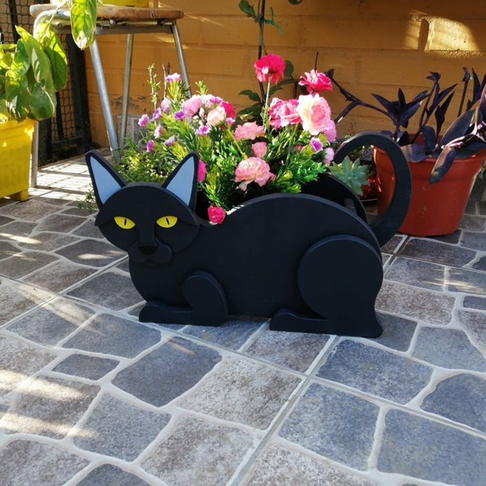 Planting Of Plants Siamese Cat Plant, Cute Decorative Flower Pot for