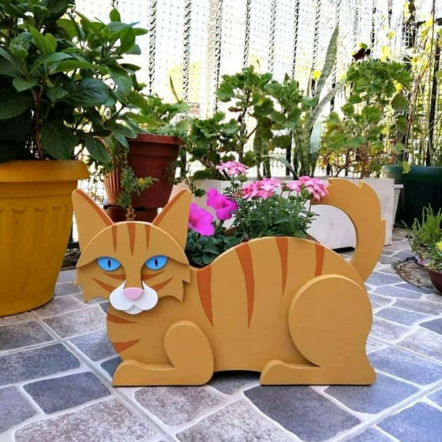 Planting Of Plants Siamese Cat Plant, Cute Decorative Flower Pot for