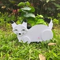 Planting Of Plants Siamese Cat Plant, Cute Decorative Flower Pot for