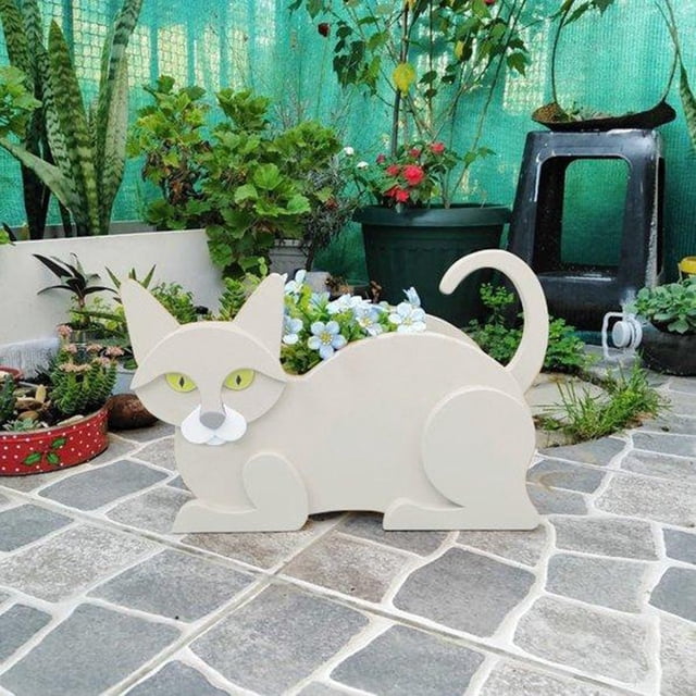 Planting Of Plants Siamese Cat Plant, Cute Decorative Flower Pot for