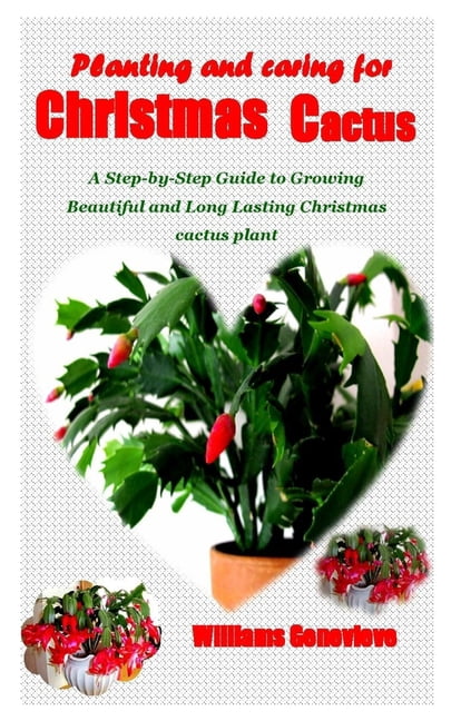 Planting and Caring for Christmas Cactus : A Step-by-Step Guide to Growing Beautiful and Long Lasting Christmas cactus plant (Paperback)