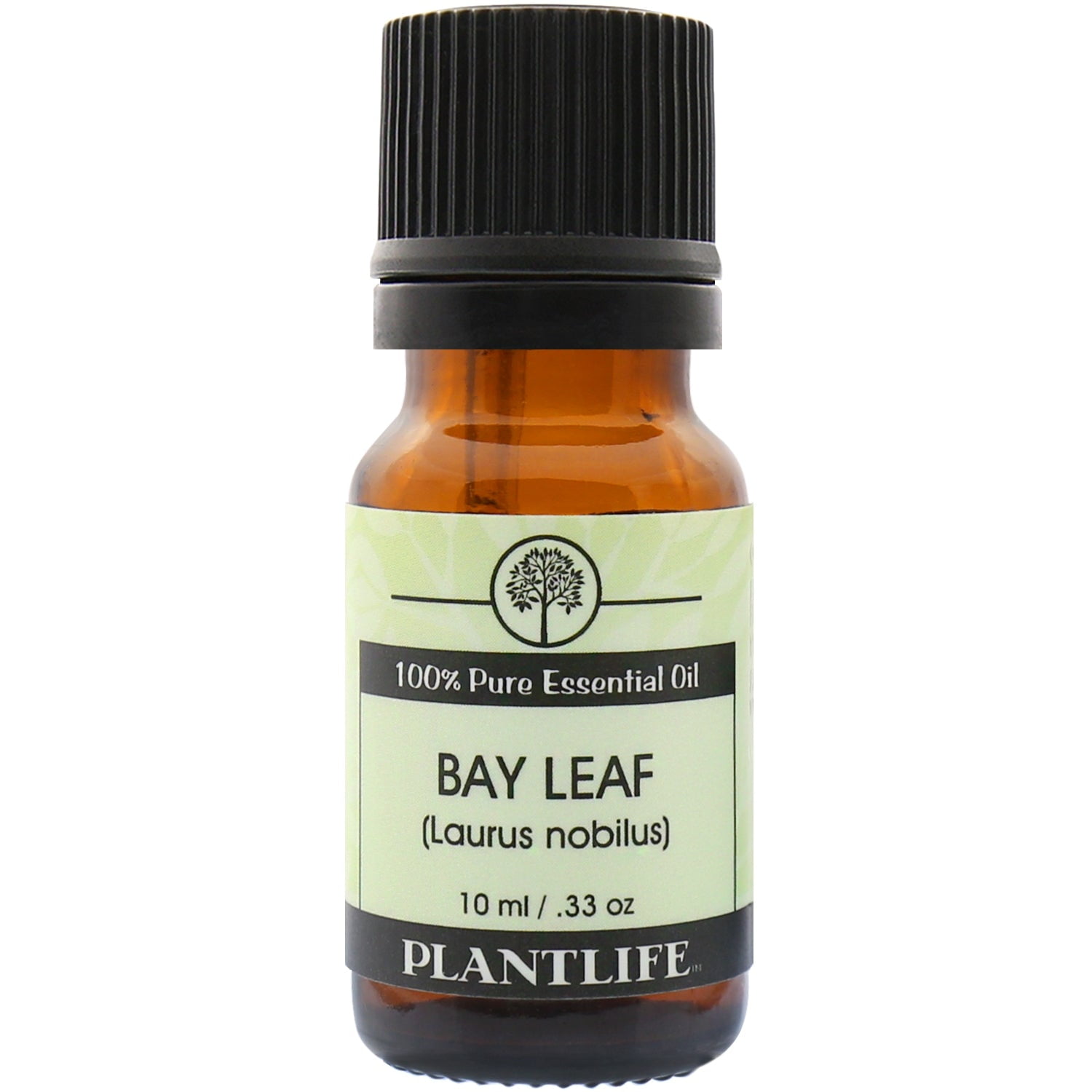 Plantlife Bay Leaf Aromatherapy Essential Oil Straight From The Plant