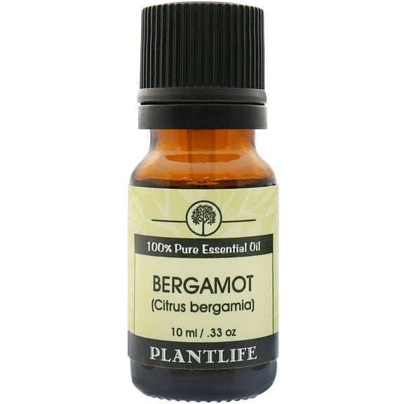 Plantlife Bergamot Aromatherapy Essential Oil - Straight From The Plant 100% Pure Therapeutic Grade - No Additives or Fillers - 10 ml