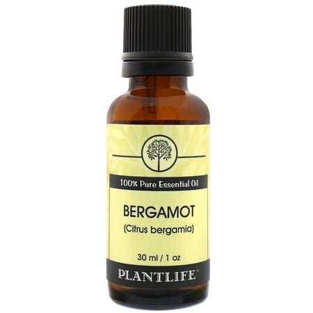 Plantlife Bergamot Aromatherapy Essential Oil - Straight From The Plant 100% Pure Therapeutic Grade - No Additives or Fillers - 30 ml