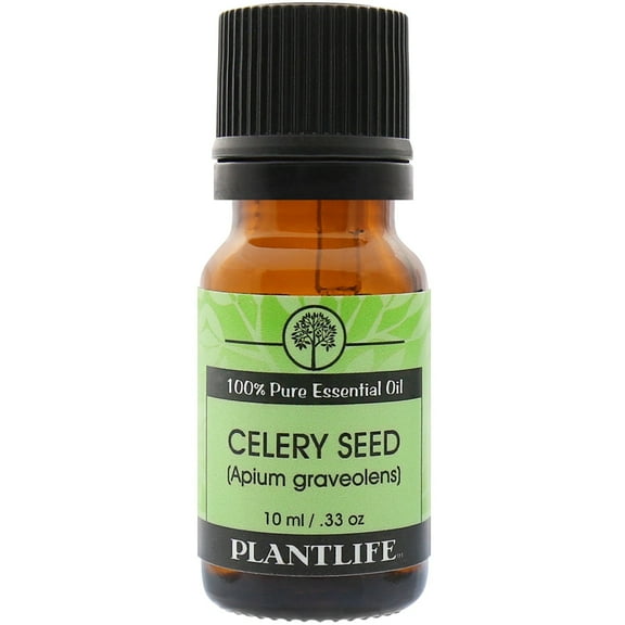 Plantlife Celery Aromatherapy Essential Oil - Straight From The Plant 100% Pure Therapeutic Grade - No Additives or Fillers - 10 ml