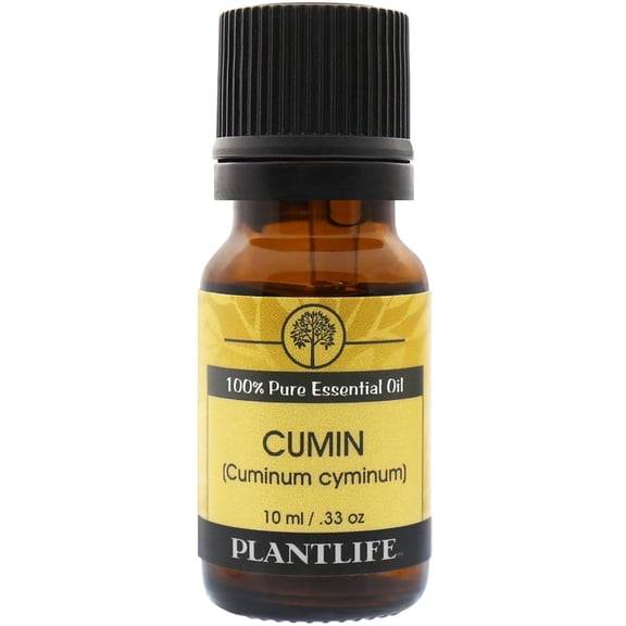 Plantlife Cumin Aromatherapy Essential Oil - Straight From The Plant 100% Pure Therapeutic Grade - No Additives or Fillers - 10 ml
