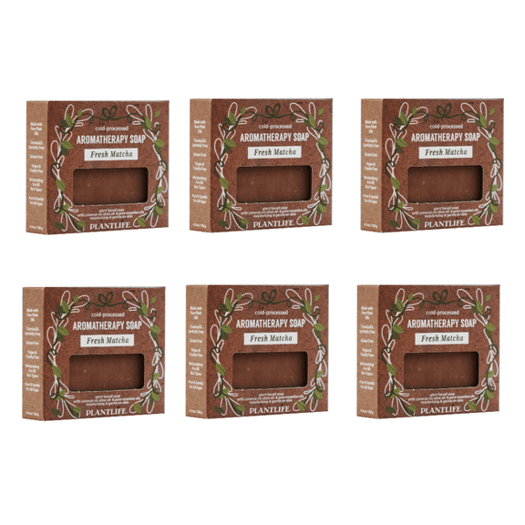 Plantlife Fresh Matcha Bar Soap 6 Pack Green Tea Inspired Essential Oil Blend, Plant Based Cleansing Soap for Hands and Body