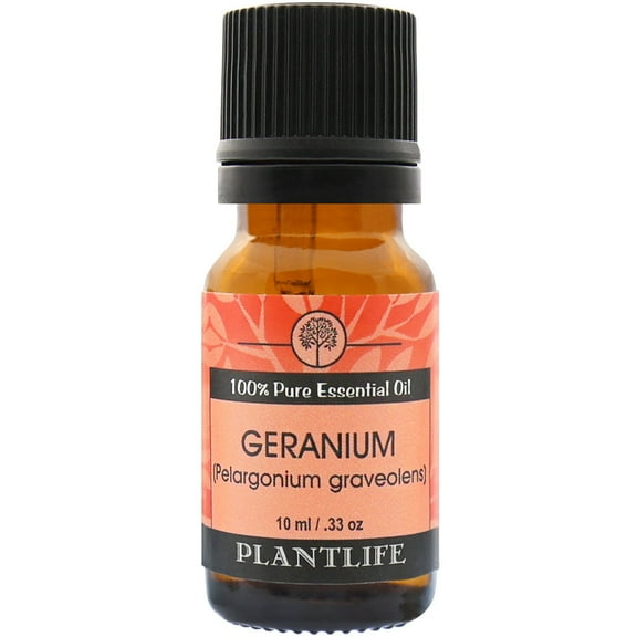 Plantlife Geranium Aromatherapy Essential Oil - Straight From The Plant 100% Pure Therapeutic Grade - No Additives or Fillers - 10 ml