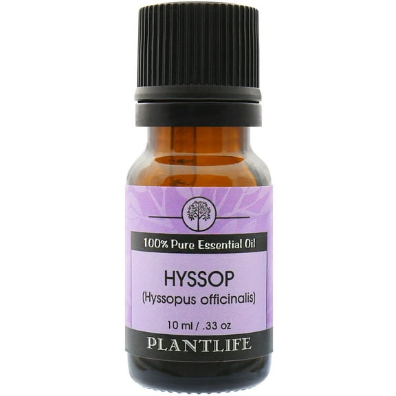Plantlife Hyssop Aromatherapy Essential Oil - Straight From The Plant 100% Pure Therapeutic Grade - No Additives or Fillers - 10 ml
