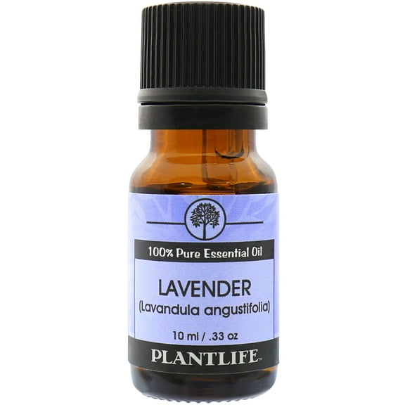 Plantlife Lavender Aromatherapy Essential Oil - Straight From The Plant 100% Pure Therapeutic Grade - No Additives or Fillers - 10 ml