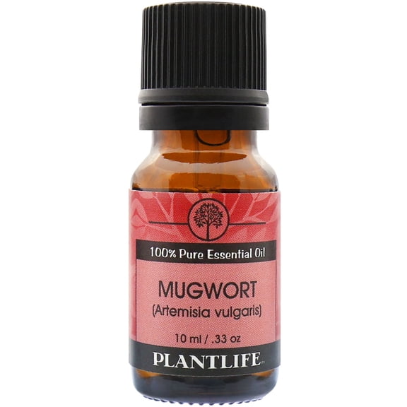 Plantlife Mugwort Aromatherapy Essential Oil - Straight From The Plant 100% Pure Therapeutic Grade - No Additives or Fillers - 10 ml