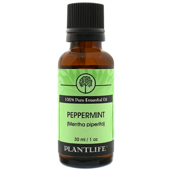 Plantlife Peppermint Aromatherapy Essential Oil - Straight From The Plant 100% Pure Therapeutic Grade - No Additives or Fillers - 30 ml